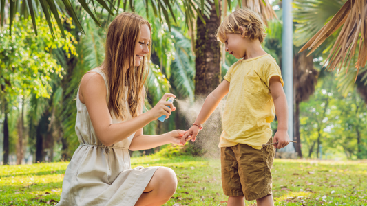 Safe and Effective Alternatives to Conventional Bug Sprays and DEET.