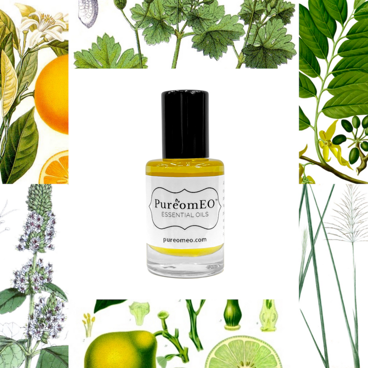 Sun ☼ Eau de Parfum Oil, Roll-on