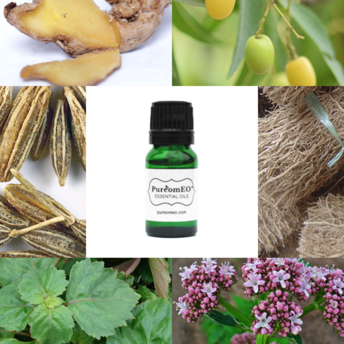 Musk Essential Oil Blend
