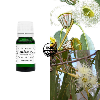 Eucalyptus - Certified Organic